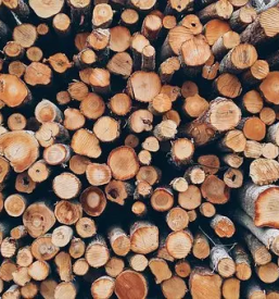 Secnja in spravilo lesa slovenija
