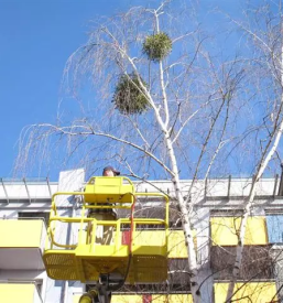 Ugodno urejanje okolice podravska