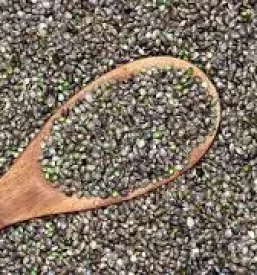 Zdravilne rastline slovenija