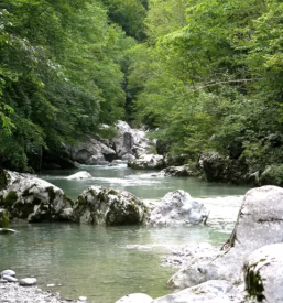 Avtokamp dolina nadize goriska