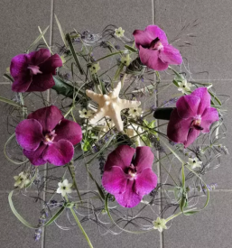 Cvetlicarna ajdovscina