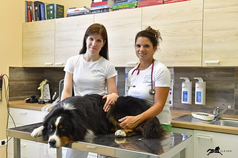 Dobra veterinarska ambulanta Nova Gorica