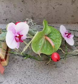 Dostava cvetja po narocilu ajdovscina