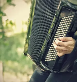 Hochwertiges akkordeon slowenien