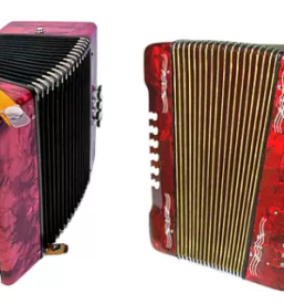 Hochwertiges akkordeon slowenien