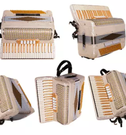 Hochwertiges akkordeon slowenien