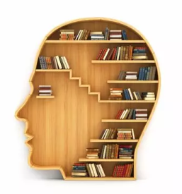 Individualne in psihoterapije po Sloveniji