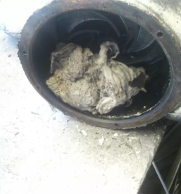 Poceni servis potopnih črpalk Kranj