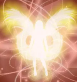 Tecaj za dvig kvalitete zivljenja slovenija