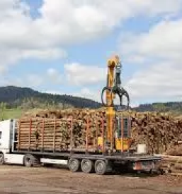 Ugoden prevoz lesa goriska