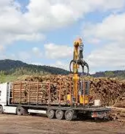 Ugoden prevoz lesa na hrvasko