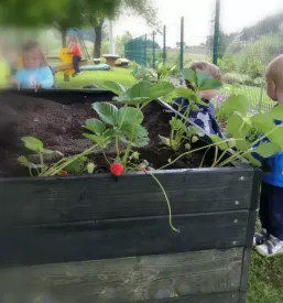 Varstvo v vrtcu Pedenjped