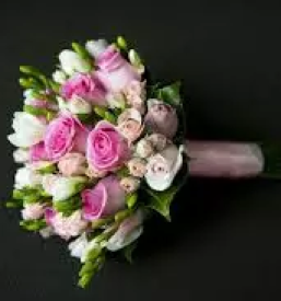 Vse za poroko sevnica