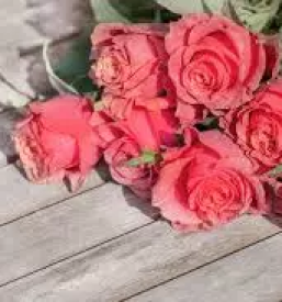 Žalni šopek Sevnica