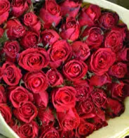 Cvetličarna Sevnica