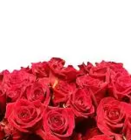 Žalni cvetlični aranžma Sevnica