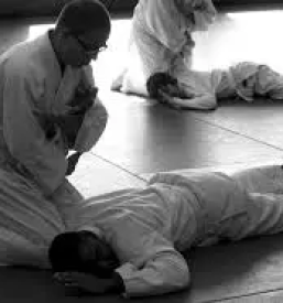 Trening aikida Ljubljana