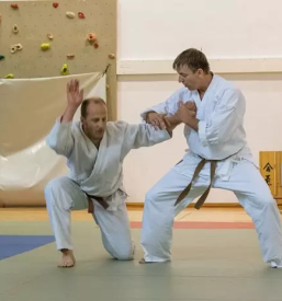 Trening borilnih veščin Ljubljana