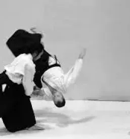 Aikido Dmžale
