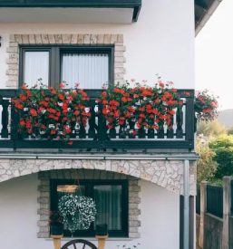 Balkonsko cvetje podcetrtek okolica