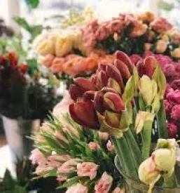 Dobra cvetlicarna sevnica