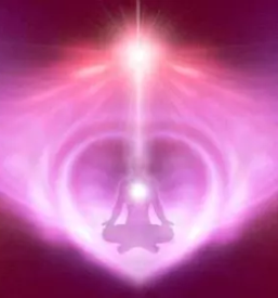 Energijsko zdravljenje zivali