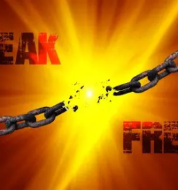 Energijsko zdravljenje zivali