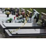 TERACERSTVO MARJAN PROGAR S.P.