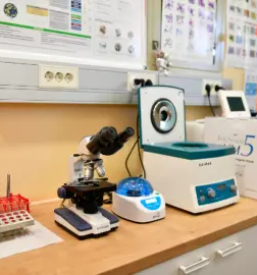 Kvaliteten eterinar v novi gorici in okolici