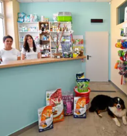 Kvalitetne veterinarske storitve nova gorica in okolica