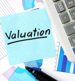 Ocena vrednosti podjetja primorska