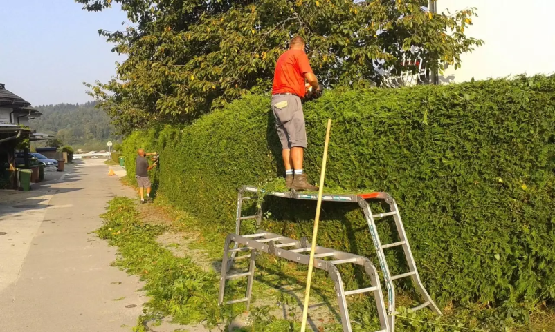 Urejanje okolice Gorenjska