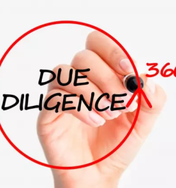 Poslovno svetovanje primorska