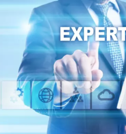 Poslovno svetovanje primorska