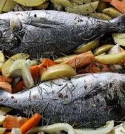 Ugoden apartma izola