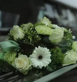 Zalni aranzmaji ajdovscina