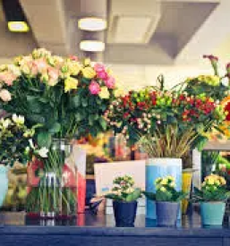 Zalni venci ajdovscina