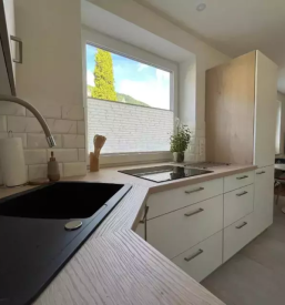 Affordable apartment for rent in bohinjska bela