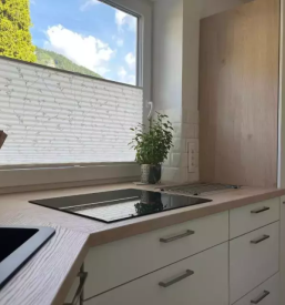 Affordable apartment for rent in bohinjska bela