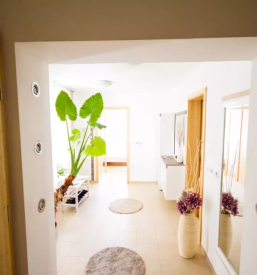 Apartmaji ormoz stajerska