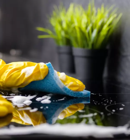 Cistilni servis prekmurje