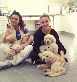 veterinar Bela krajina