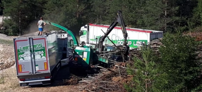 Ugoden prevoz hlodovine po Sloveniji