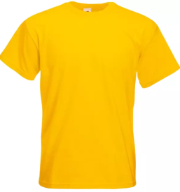 Tisk na majice Savinjska