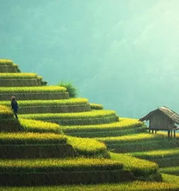 Vzdrzevanje zelenih povrsin maribor okolica stajerska