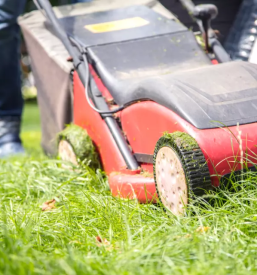 Vzdrževanje okolice
