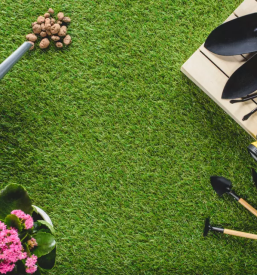 Vzdrževanje zelenih površin