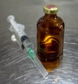 Kvalitetna ambulanta za male živali Zasavje