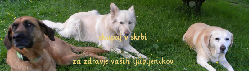 Ambulanta za male živali Zasavje