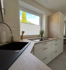 Najem apartmaja Bohinjska Bela